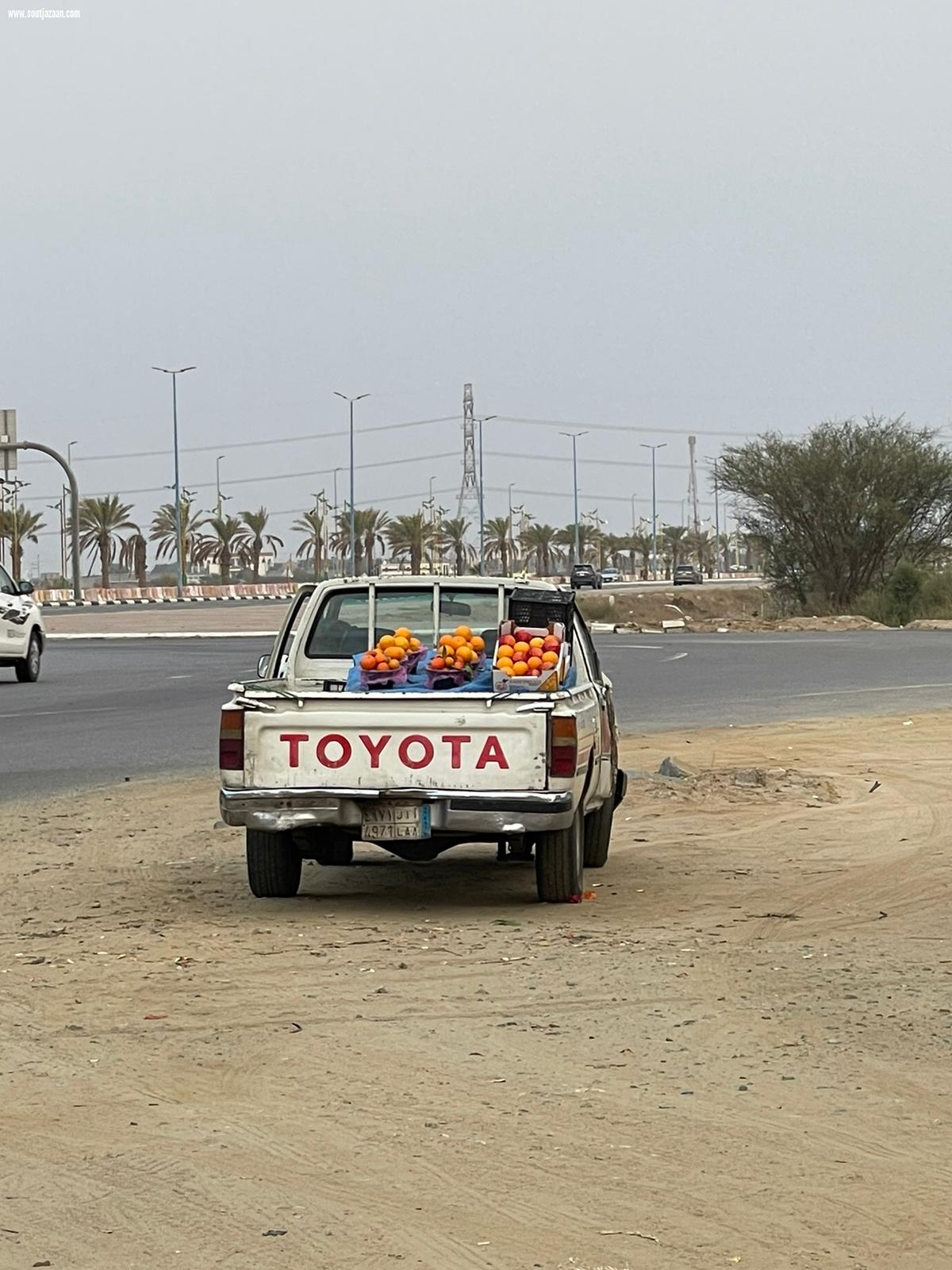 512 جولةً رقابيةً تنفذها بلدية محافظة ييش خلال شهر ديسمبر الماضي