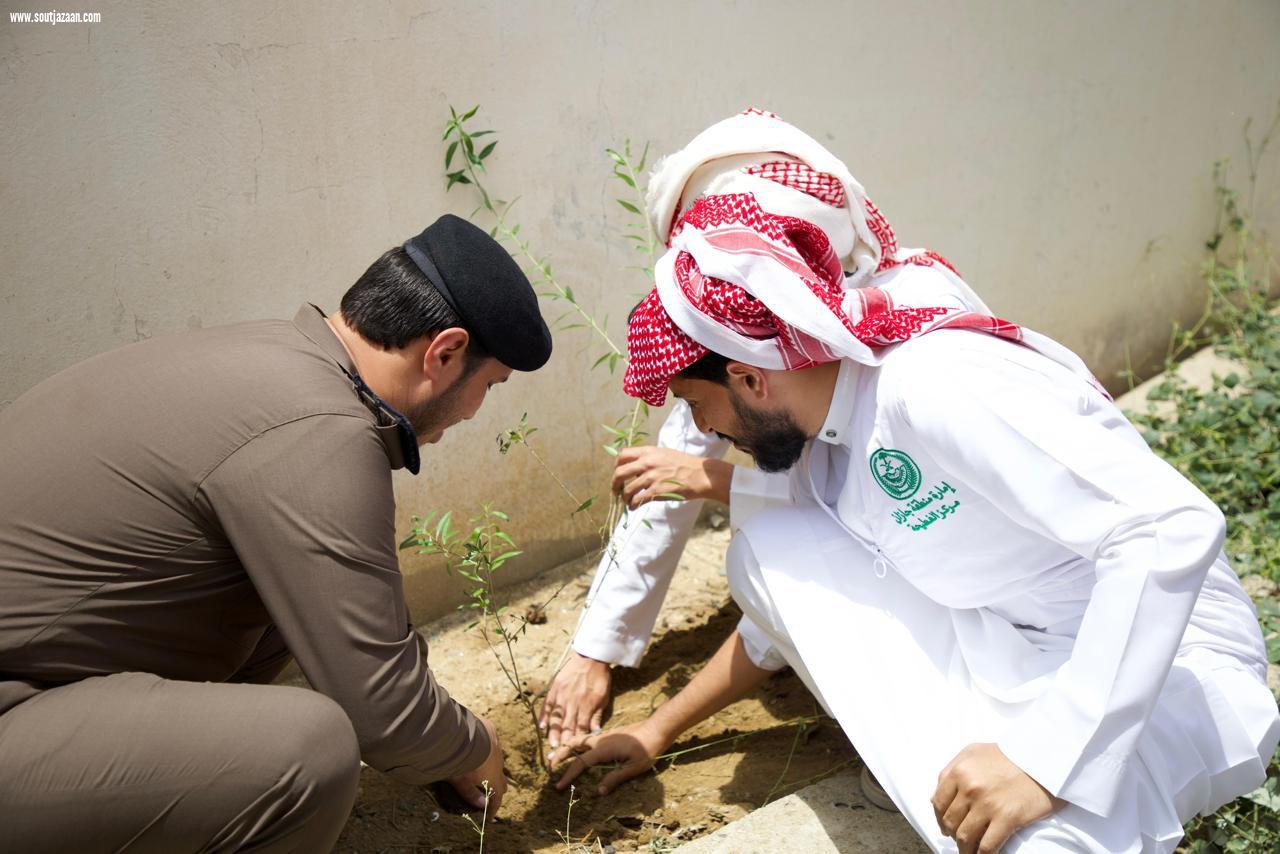 محافظ بيش يدشن زراعة 1000 شجرة بالمحافظة ضمن مبادرة السعودية الخضراء 