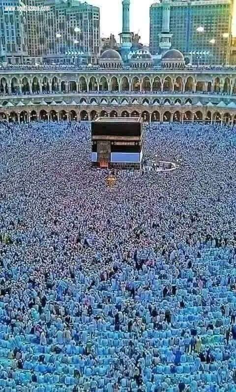 إدارة الحج | بقلم مدير فرع الجمعية السعودية للجودة بجازان الأستاذ عبدالرحمن الصروي