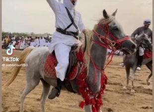 الملحاء تعيد الأصالة / بقلم / غابي عكفي