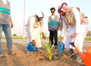 بلدية محافظة صبيا تنفذ مبادرة للتشجير تحت شعار صبيا الخضراء