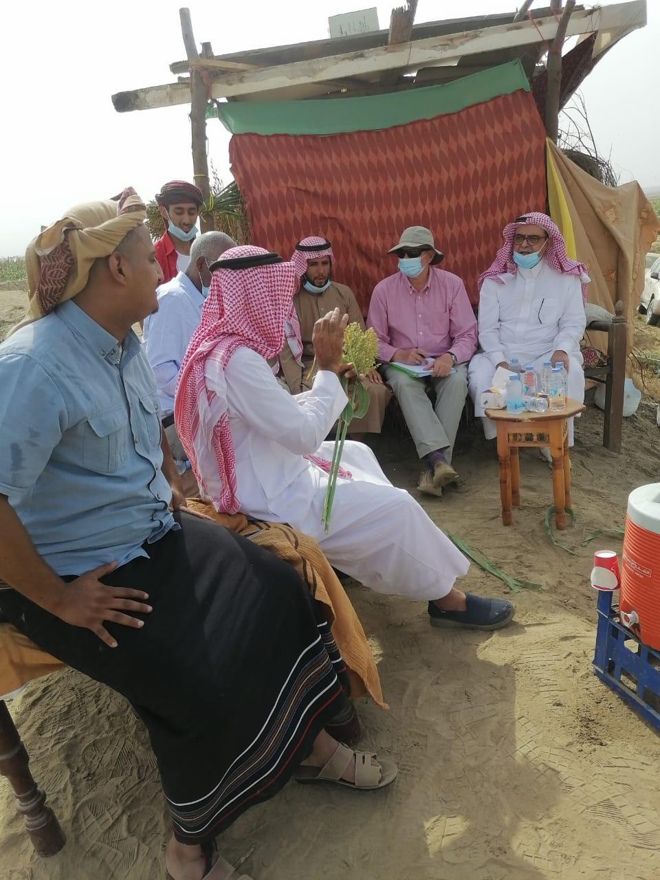 المزارع علي عبده حازمي يستقبل وفد الفاوفي مزرعته بضمد